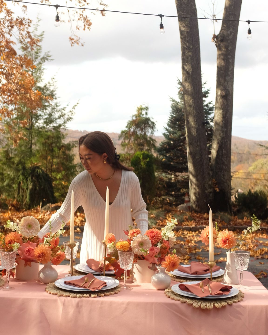 picnic set up company