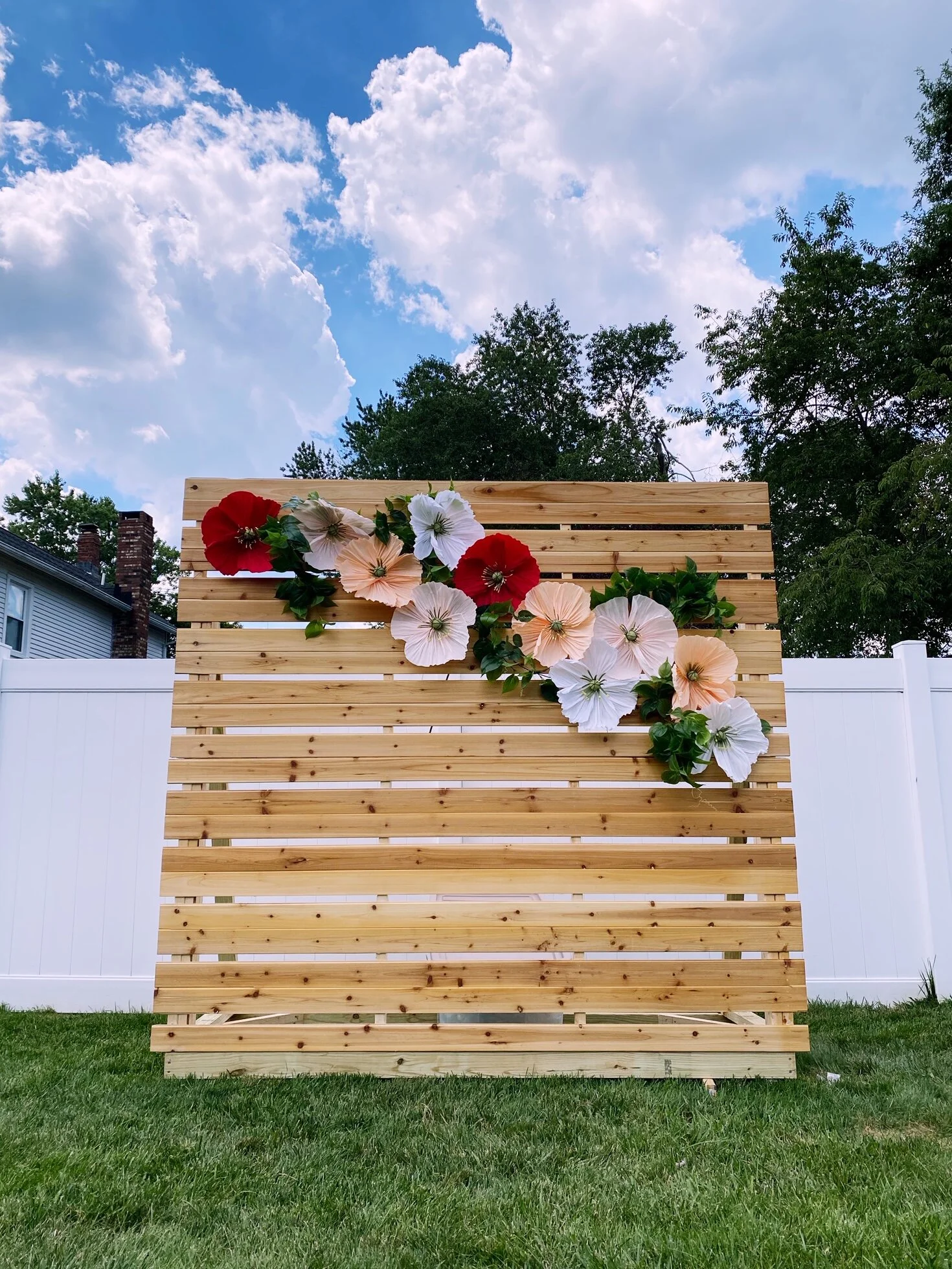 486725DF-660C-4697-86D8-5F865073C7A5 (1).JPG